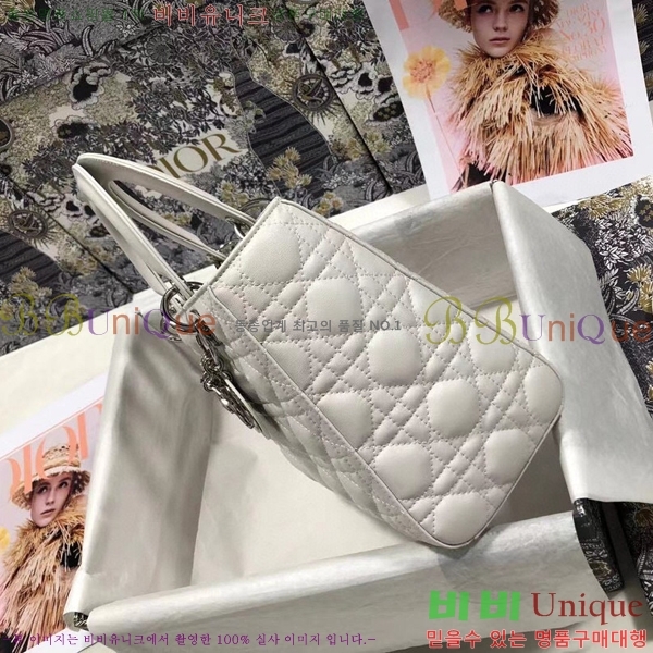 #��� ���̵�� ����Ų DR44550-109