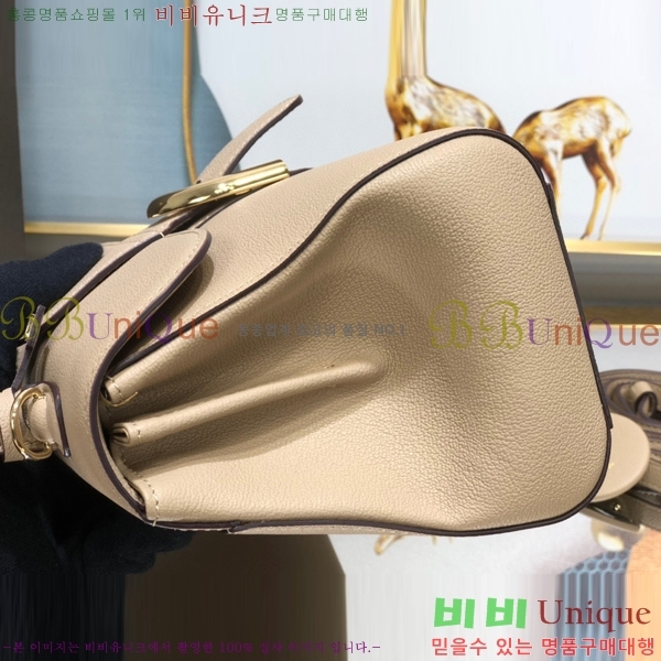 #���� �긮�ӹ� DS0028-6