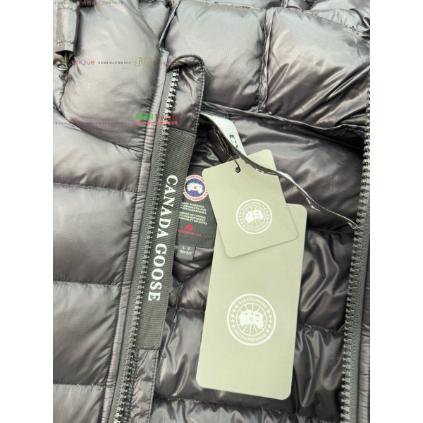 ���� ĳ���ٱ��� �ٿ� �е� 67GC24102582-2