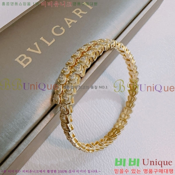 �Ұ��� ���� BVLG921129-1