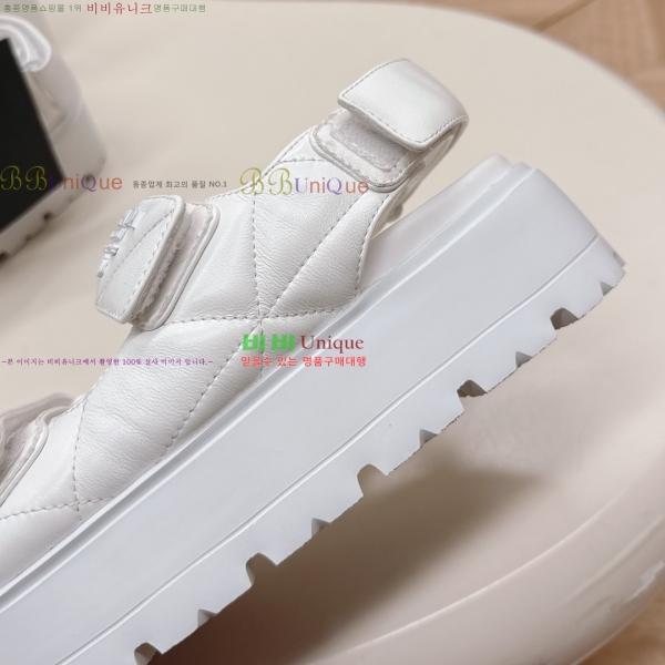 ���� ����� ���� 31P255244-2