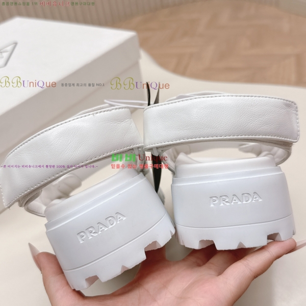 ���� ����� ���� 31P255244-2