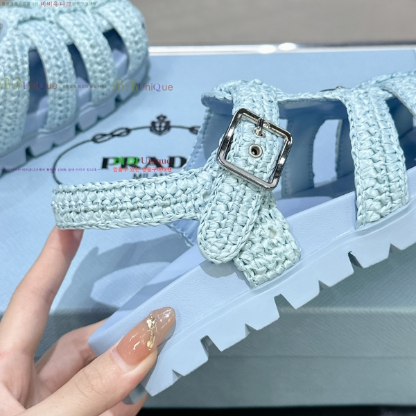 ���� ����� ���� ���� 31P255245-2