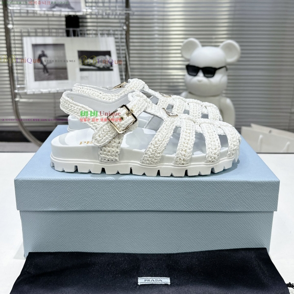 ���� ����� ���� ���� 31P255245-4