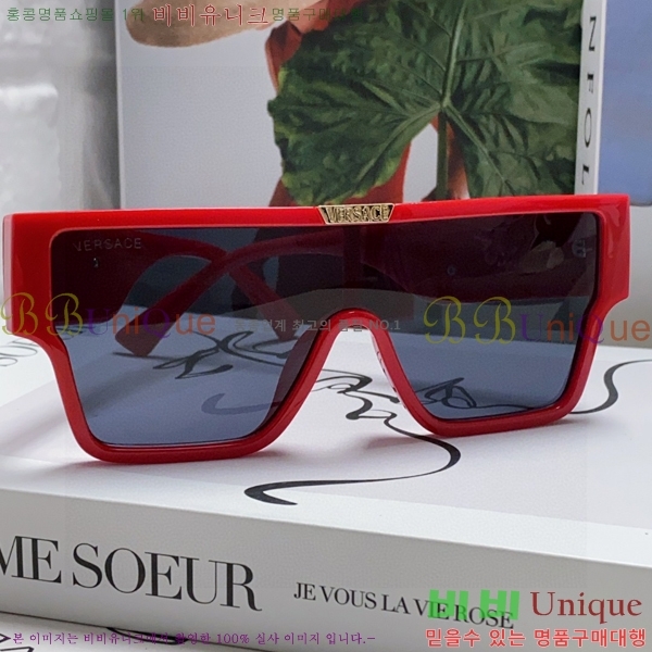 ������ü ���۶� VE102293-1