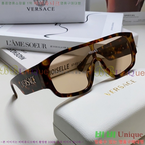 ������ü ���۶� VE102296-3