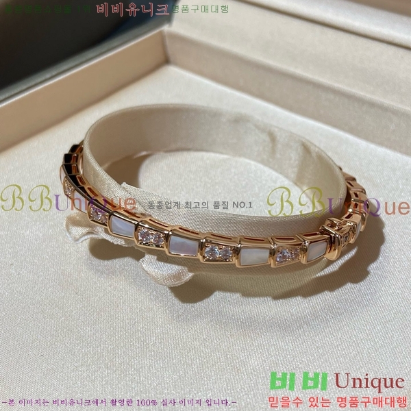 ���� �Ұ��� ���� BV1111244-1