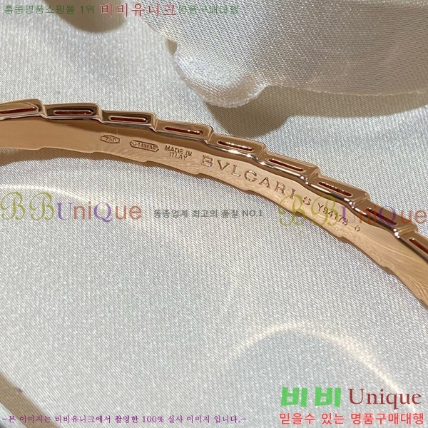 ���� �Ұ��� ���� BV1111244-1