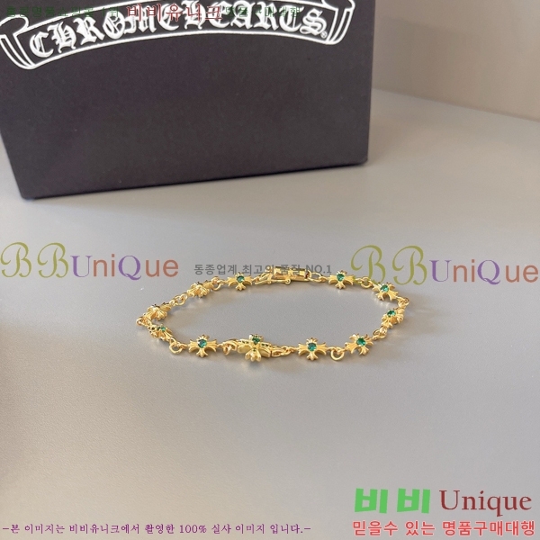 �������� ũ������ ���� CHS1099-4