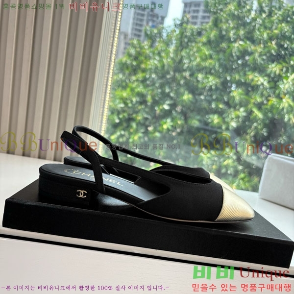 ���� ��* �÷����� ���� AD550036-6