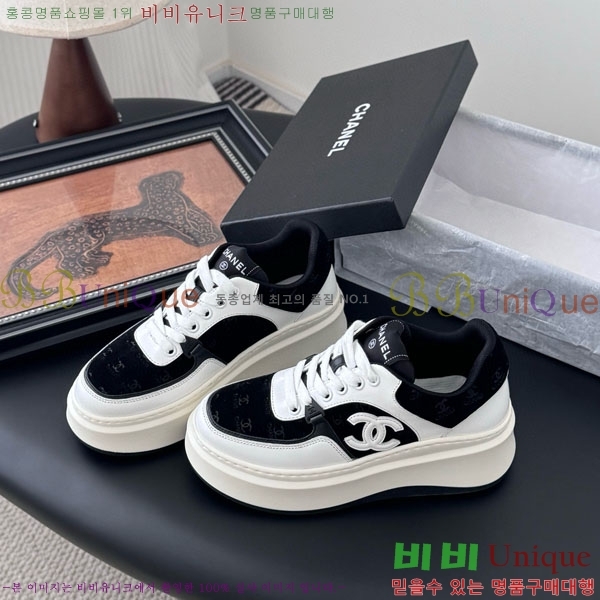 ���� ��* ����Ŀ�� WP66077-6