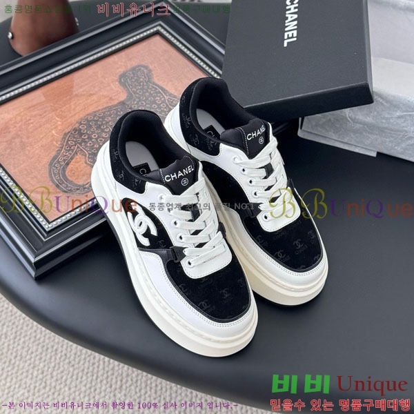 ���� ��* ����Ŀ�� WP66077-6