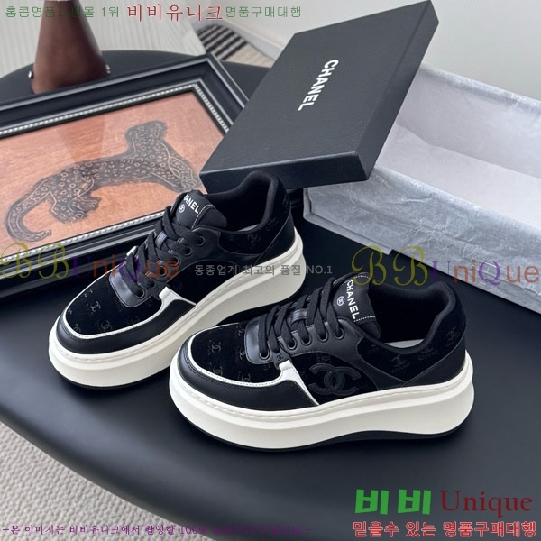 ���� ��* ����Ŀ�� WP66077-11