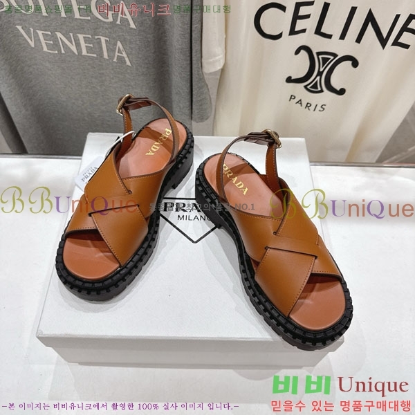 ���� ����� ���� 1P250069