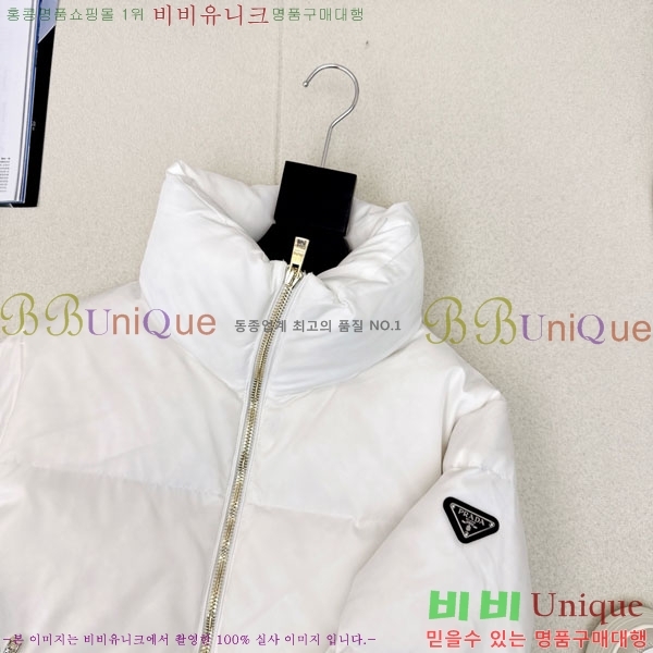 ���� ����� �ٿ� �е� PA1712308-1