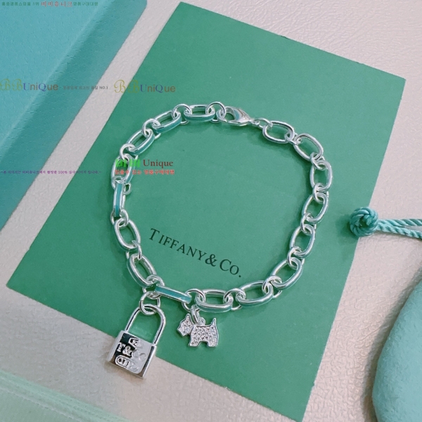 ���� Ƽ�Ĵ� ���� TF211077-5