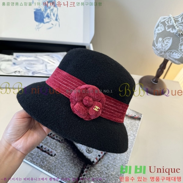 ��* ���� CH2520899-1