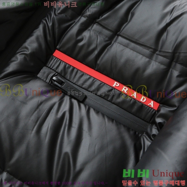 ���� ����� �ٿ� �е� PA245684-1