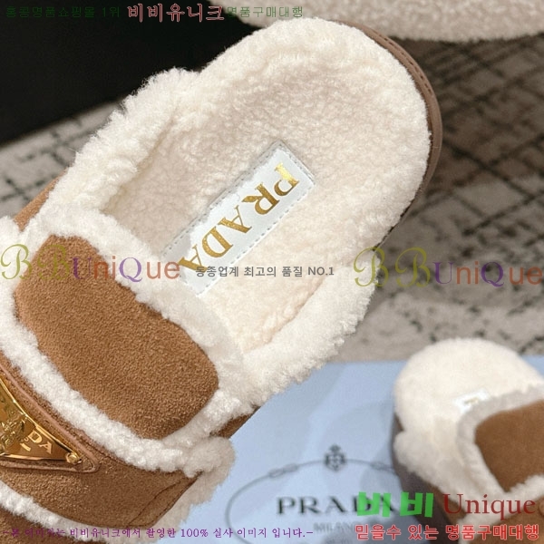 ���� ����� �� ������ P5560221-2