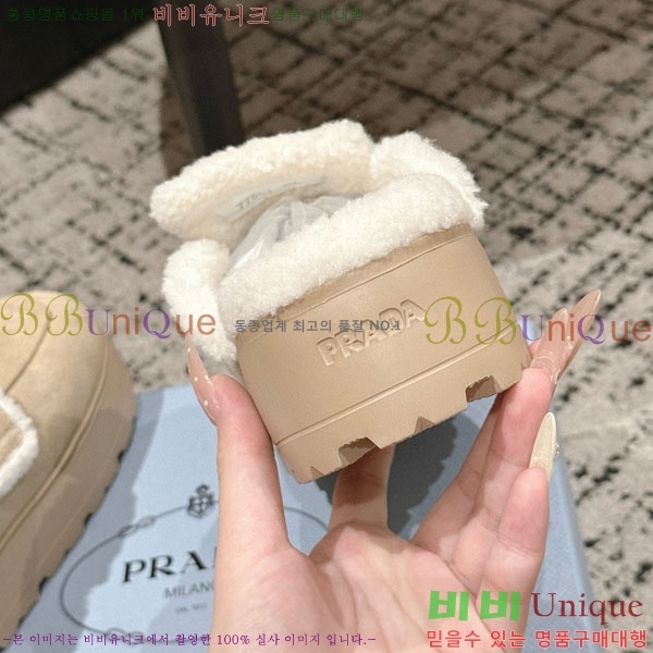 ���� ����� �� ������ P5560221-4