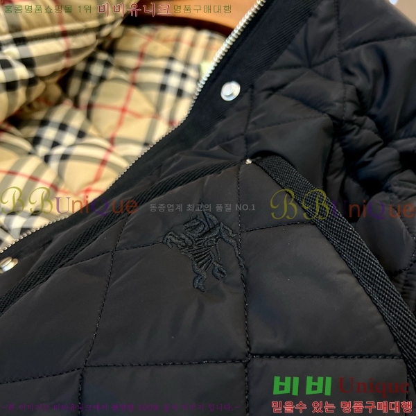 ���� ������ �ٿ� �е� BU2536219-2