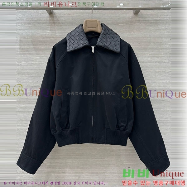 ���� ���װ�����Ÿ ���� BV156756-2