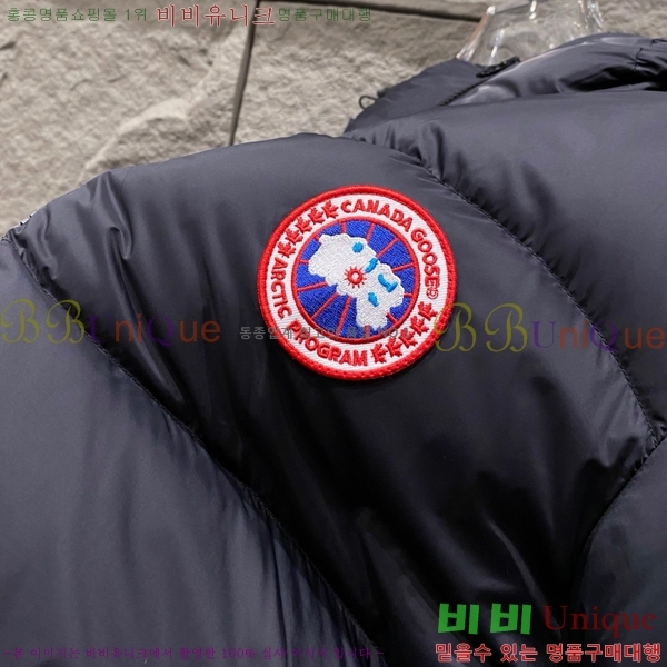 ���� ĳ���ٱ��� �ٿ� �е� CG265367-1