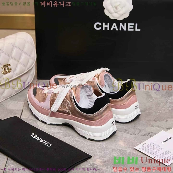 ��* ����Ŀ�� �������� N17672-1