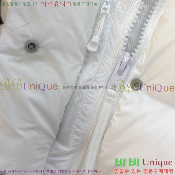 �������� ĳ���ٱ��� �ٿ� �е� CAG215556-2