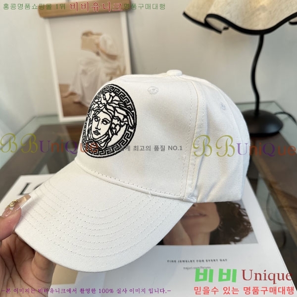 ����*ü ���� V86421-2