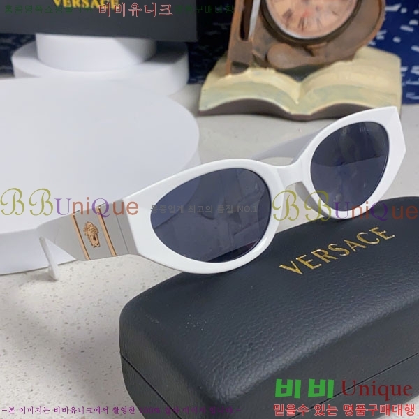 ������ü ���۶� VE102302-3