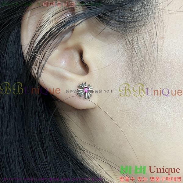 ���� ũ������ �Ͱ��� CHS12033-6