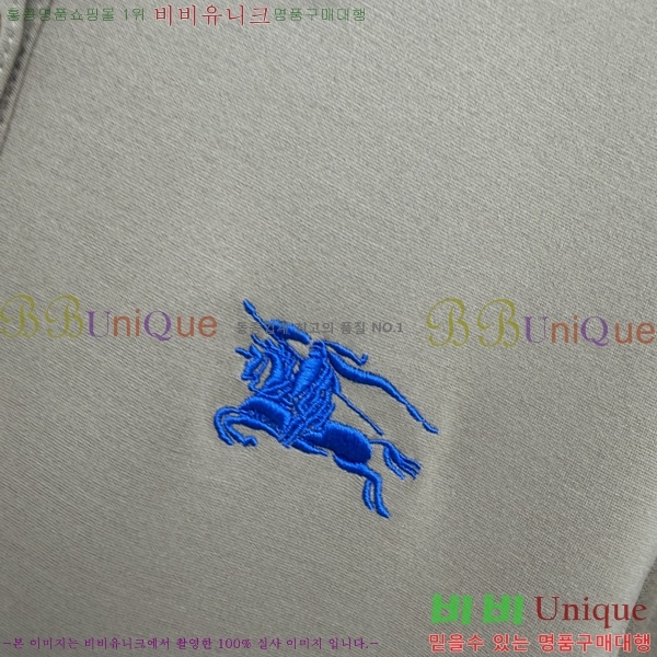 ���� ������ ���ǽ� BU256084-6