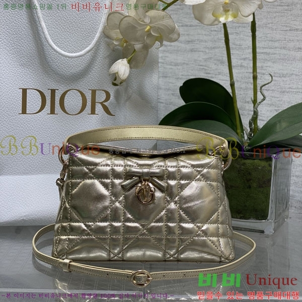 #��* �������� ž �ڵ� �� �̴� S1713-113