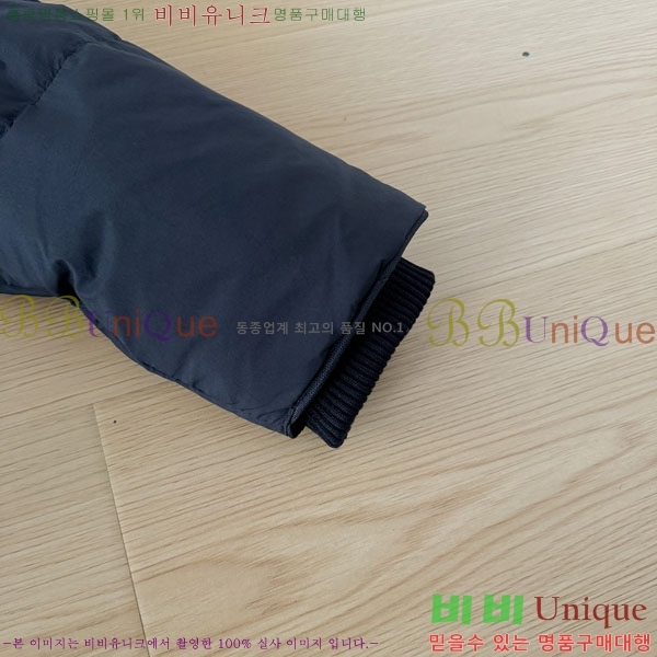 ���� ĳ���ٱ��� �ٿ� �е� CAG15742-1